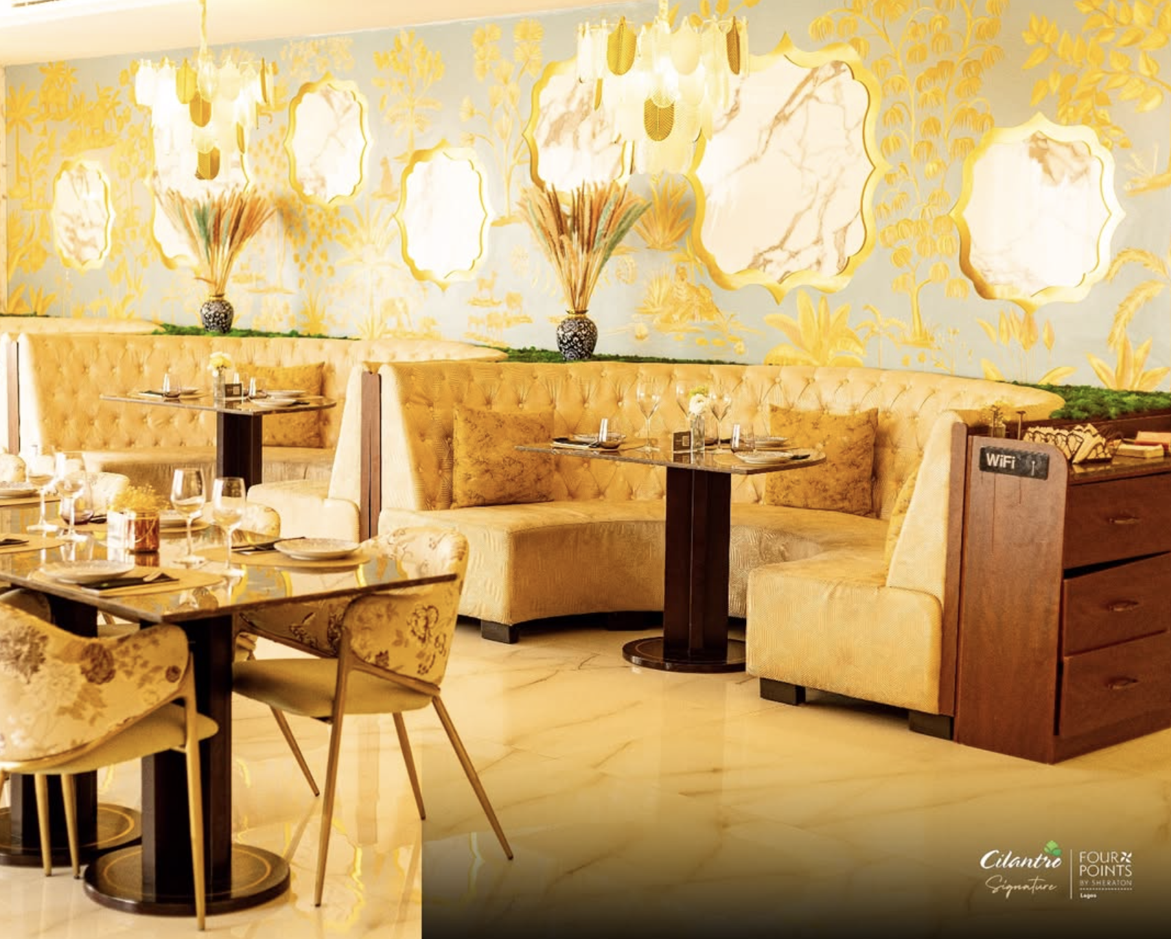 Cilantro Signature Vip choice