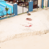 Screen Shot 2025-09-21 at 9.41.57 AM