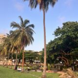 FPH iew without water